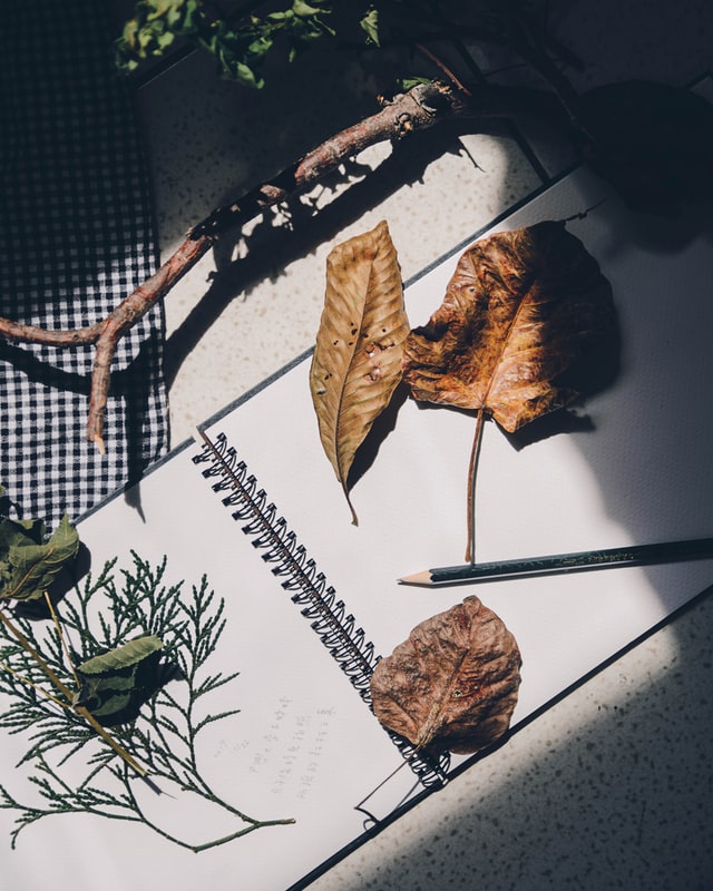 Top 5 tips for autumn health