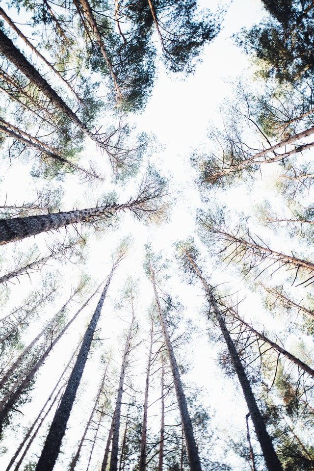 Finding calm in the air