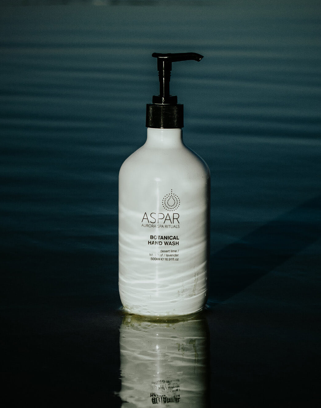 Botanical Hand Wash