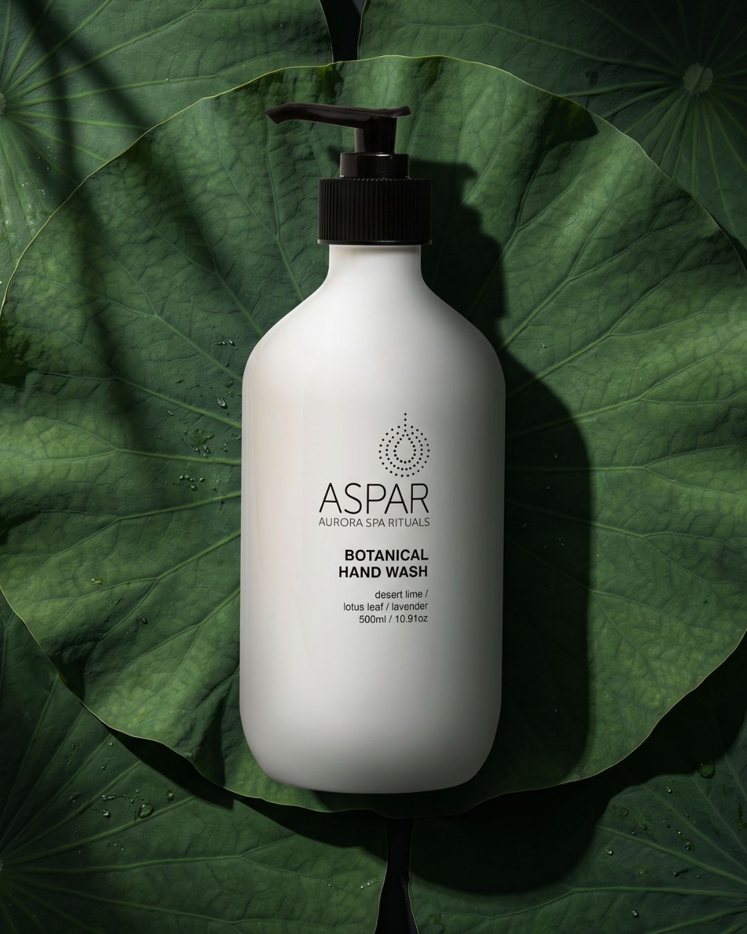 Botanical Hand Wash