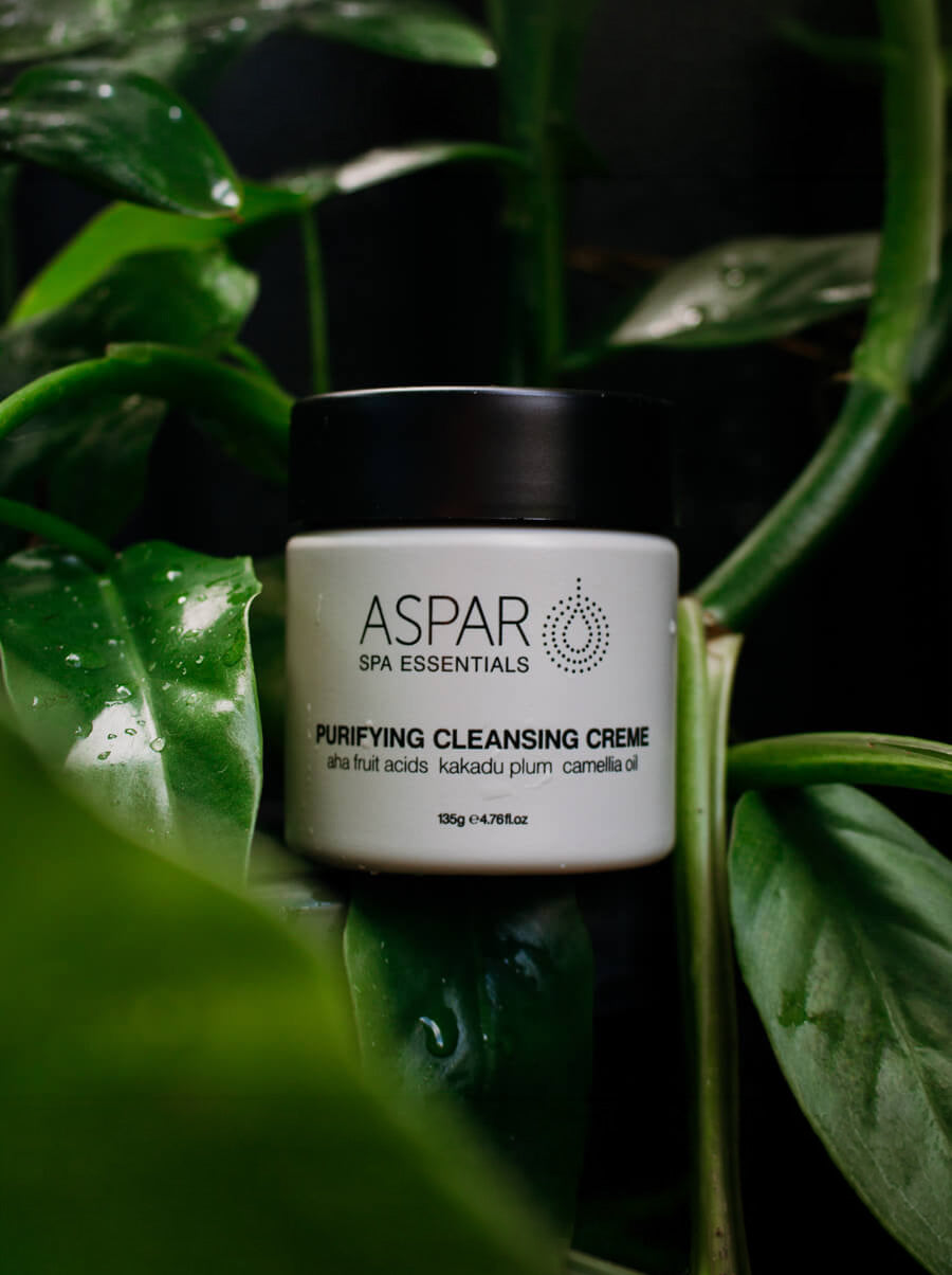 Aspar purifying cleansing crème jar with green leaves in the background