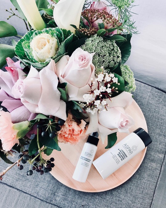 26158039_431201327283217_3150248349999824896_n ASPAR AURORA SPA